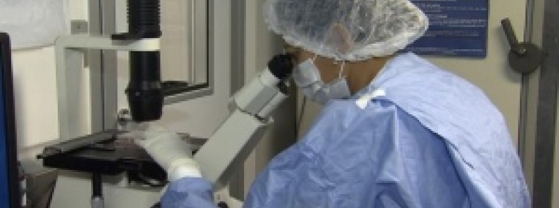 OMS diz que antes de 2020 não será licenciada vacina segura contra o vírus Zika